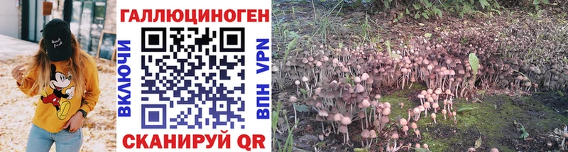 Псилоцибиновые грибы MAGIC MUSHROOMS Коркино